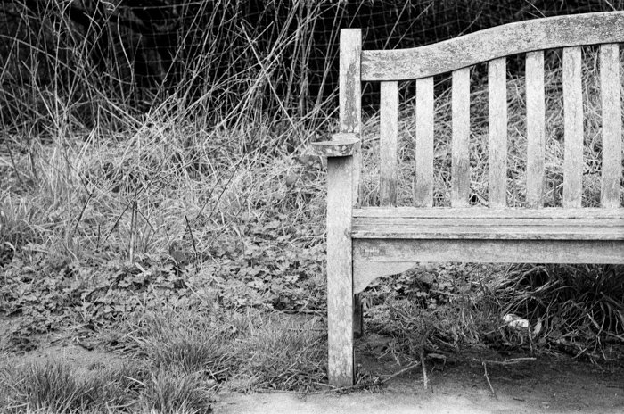 Park Bench in Ilford HP5 Plus