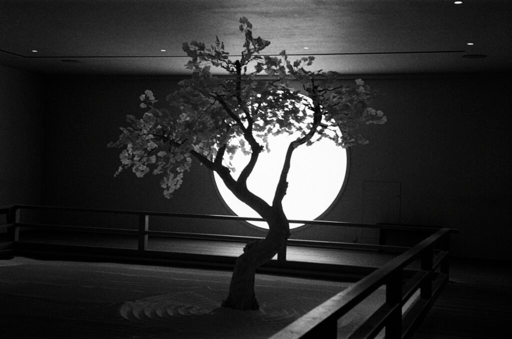 The setting Sun a Japanese vibe with this exhibit at the MOCO